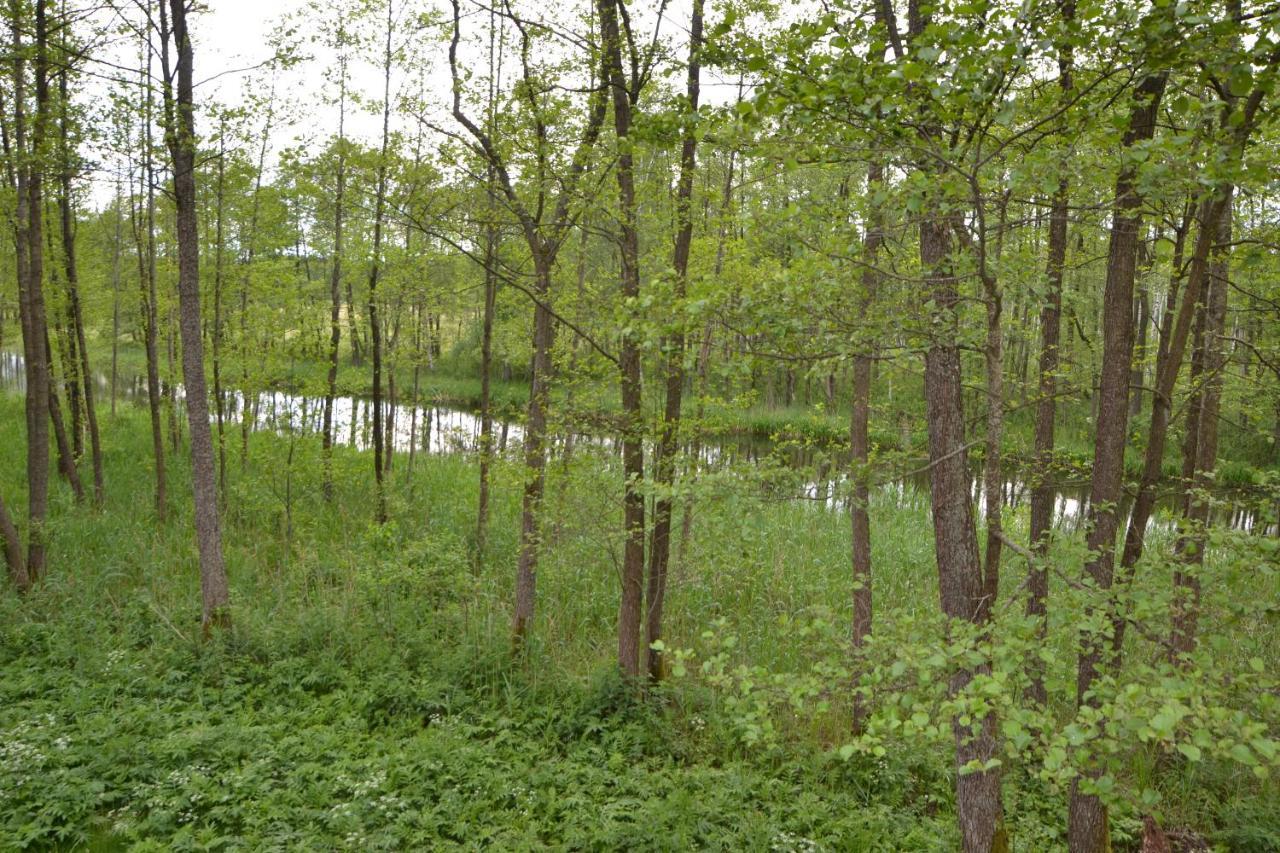 Hotel Osrodek Wypoczynkowo-Turystyczny Perla Krutyni Nowy Most Exterior foto